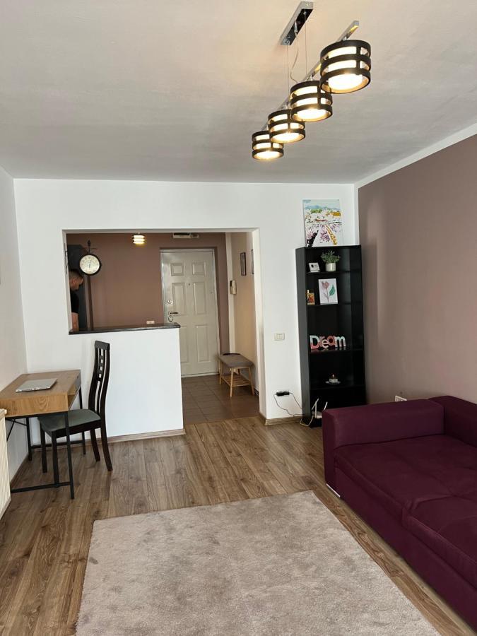 Nordic Sunny Apartment Сучава Екстер'єр фото